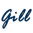 Gill Language vscode Support